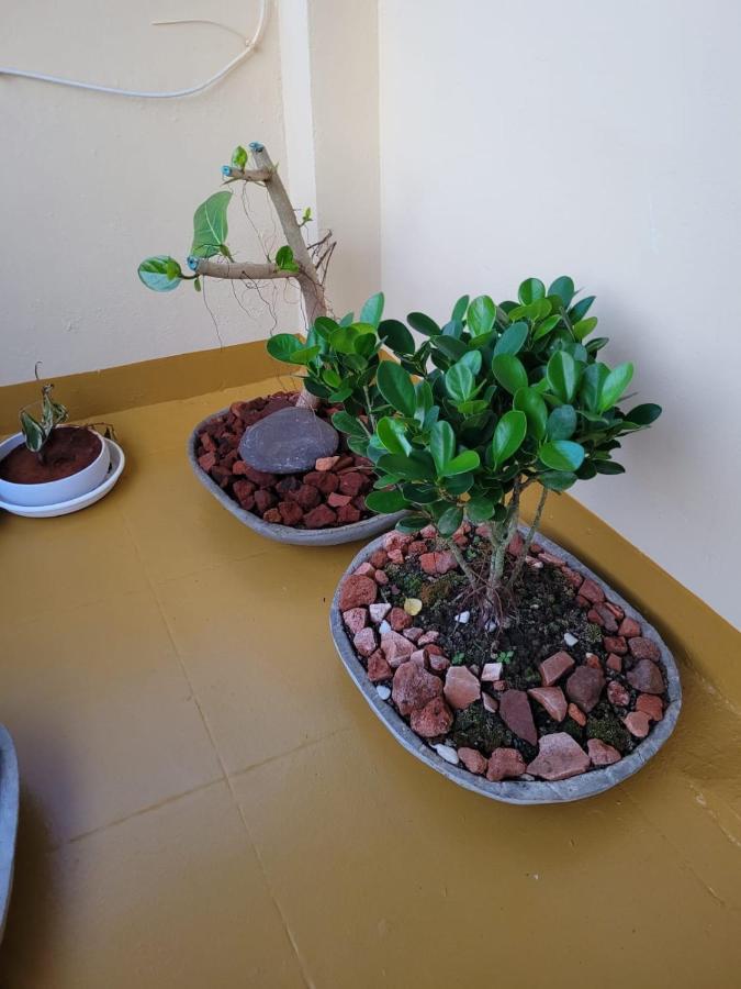 Sandy Beach Hotel Thiruvananthapuram Esterno foto